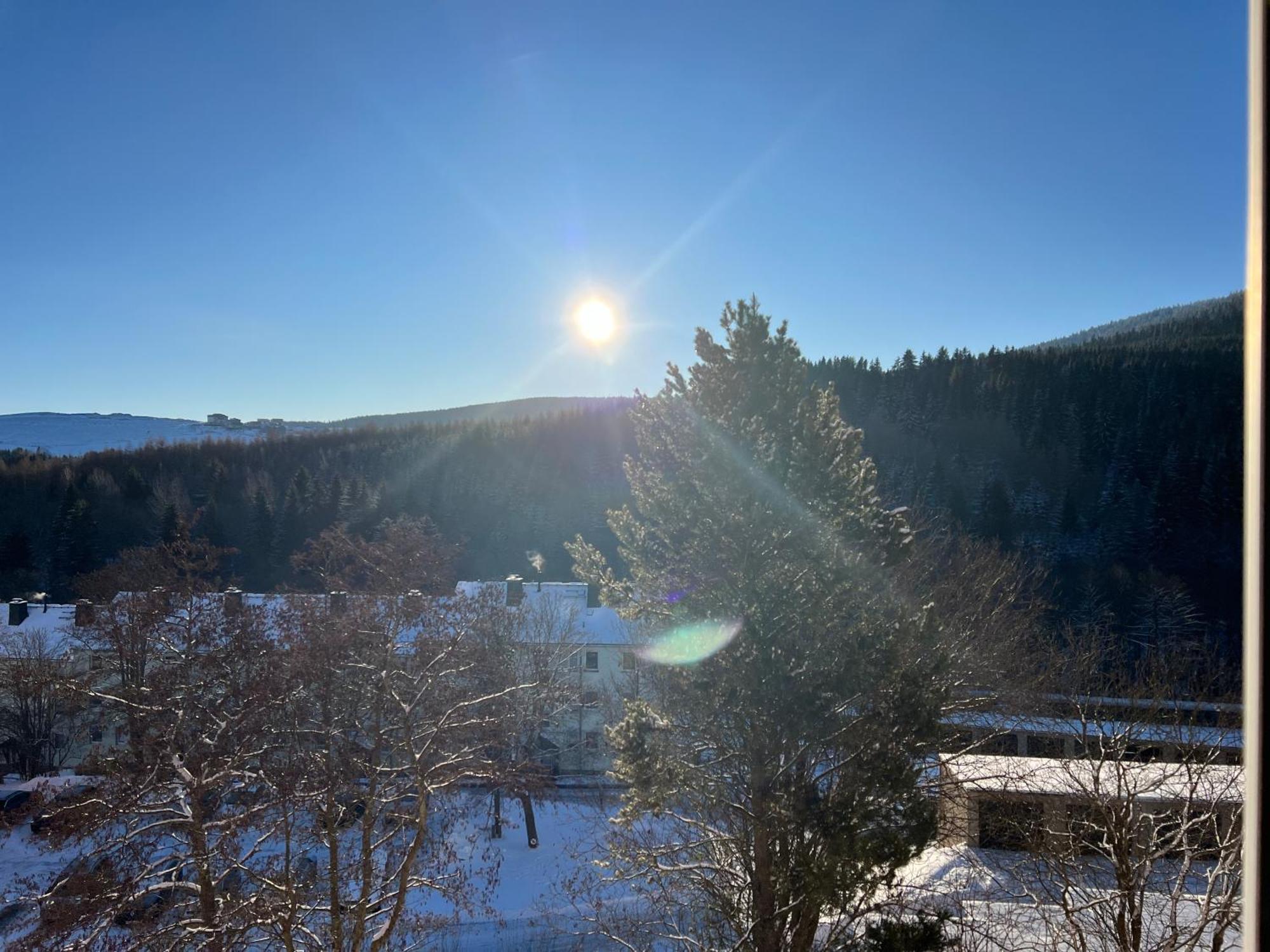 Fewo Bergblick Oberwiesenthal Zewnętrze zdjęcie
