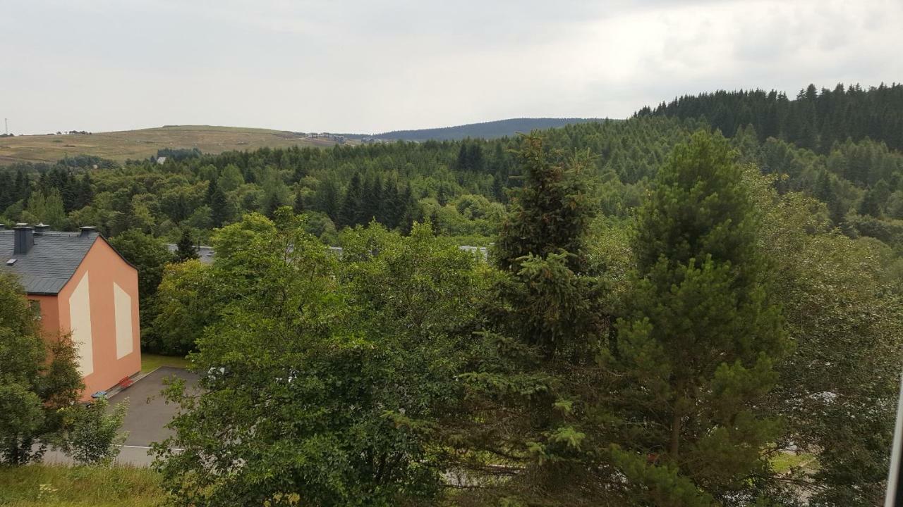 Fewo Bergblick Oberwiesenthal Zewnętrze zdjęcie